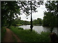 View of the Roding from the path in Wanstead Park #4