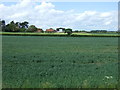 Farmland, Fledborough Farm