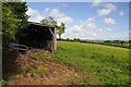 North Somerset : Grassy Field & Barn