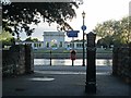 Evening sunlight, Sandringham Avenue