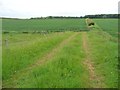 Farm track south of Aerodrome Farm