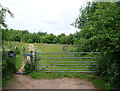 Oakham Nature Reserve, Mansfield, Notts.