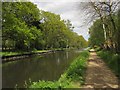 Basingstoke Canal