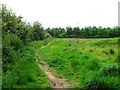 Footpath north of Tewkesbury Drive