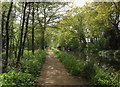 Basingstoke Canal