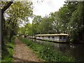 Houseboats, Basingstoke Canal