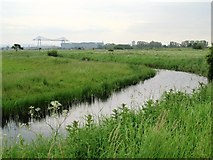 NZ4922 : (Part of) RSPB Saltholme Reserve north of Port Clarence by Mike Quinn