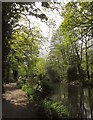 Basingstoke Canal