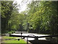 Basingstoke Canal at Woodham Lock No 4