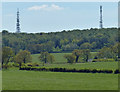 Charnwood Forest farmland