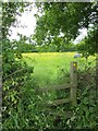 Footpath and Stile to Crewe Hill