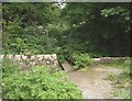 NJ8500 : An almost hidden footbridge by Stanley Howe