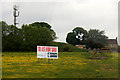 Sign at Home Farm, and mast, near Kelty