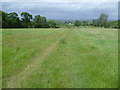 Footpath near Castle Hill