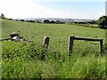 Aghagolan Townland