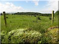 Aghagolan Townland