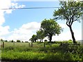 Glencoppogagh Townland