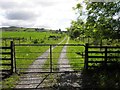 Gate and lane, Glencoppogagh