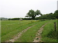 Fields at Willersey Farm