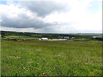 C9443 : View across a natural meadow to the terminus of the Giant's Causeway and Bushmills Railway by Eric Jones