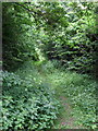 Footpath to Barton Road