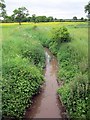 Brook near Horton Green