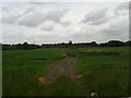 Field near Hodson Farm