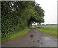 Farm road to Vicarage Farm, Scawby