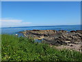 Rocky shore, Cove Bay