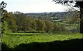 Field at Tytherleigh