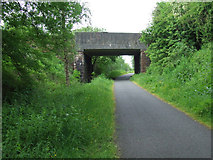 NS4264 : National Cycle Network Route 75 by Thomas Nugent