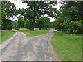 Road junction, Windsor Great Park