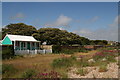 Flower beach: "vegetated shingle"