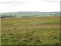 NY8896 : Moorland north of Fairney Cleugh by Mike Quinn