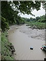 Yacht moorings in Chapel Pill