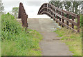 D1204 : Braid footbridge, Ballymena by Albert Bridge