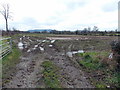 Muddy field, Mobley