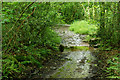 Bridleway at Irton Park, Cumbria