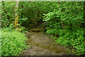 Bridleway at Irton Park, Cumbria