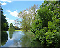 River Wye, West Wycombe Park