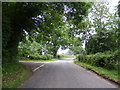 TM4781 : Clay Common Lane, Frostenden by Geographer