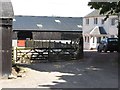 Sheep penned at Buchtrig