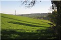 Field below Tolcis Farm