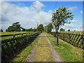 A path leading to All Saints Church