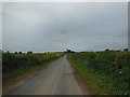 SE4776 : Hutton Rae Lane towards Little Hutton by Ian S