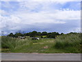 Field entrance off Fordley Road