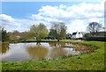 Spring Pond on the Common