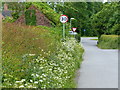 Country lane in Odstone