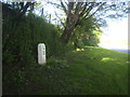 Milestone on the A395 at Trehane