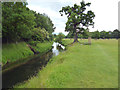 TQ2172 : Richmond Park:  Beverley Brook by Dr Neil Clifton